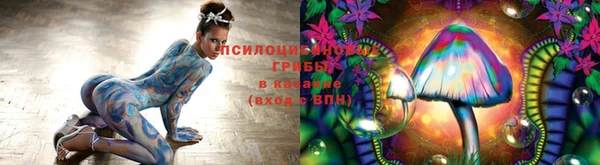 марки lsd Белокуриха