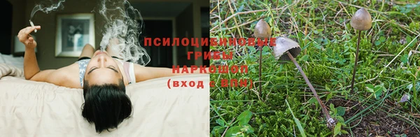 марки lsd Белокуриха