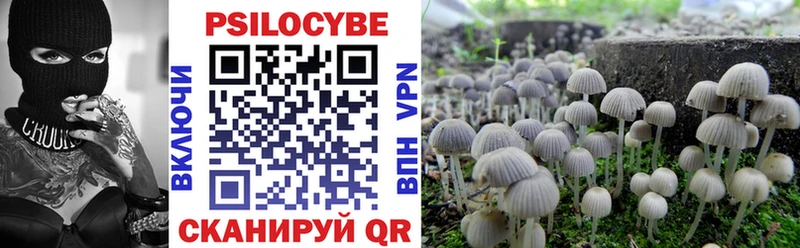 Псилоцибиновые грибы GOLDEN TEACHER  Светлогорск 